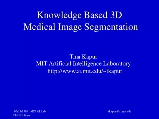 Knowledge Based 3D  Medical Image Segmentation