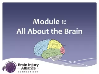 Module 1: All About the Brain