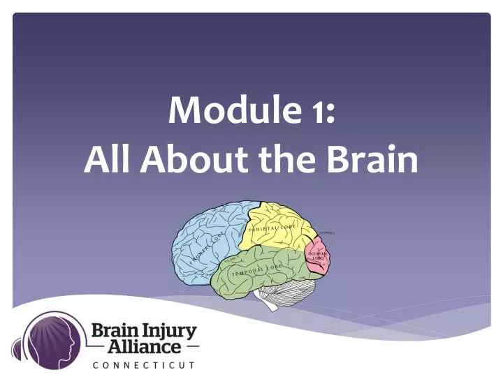 module 1 all about the brain