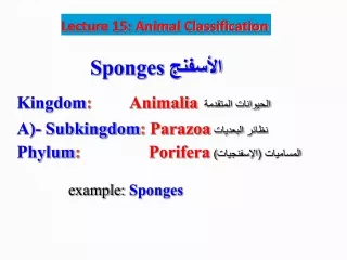 Lecture 15: Animal Classification