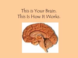 This is Your Brain.  This Is How It Works.