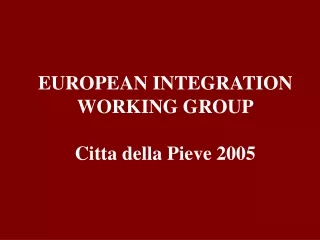 EUROPEAN INTEGRATION WORKING GROUP Citta della Pieve 2005