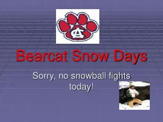 Bearcat Snow Days