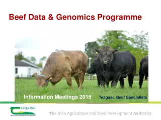 Beef Data &amp; Genomics Programme