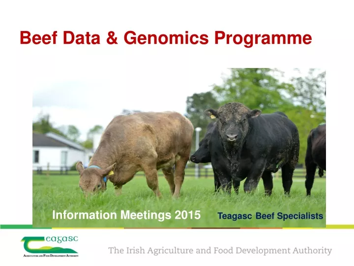 beef data genomics programme