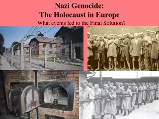 Nazi Genocide:  The Holocaust in Europe
