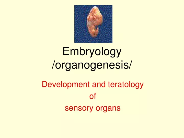 embryology organogenesis