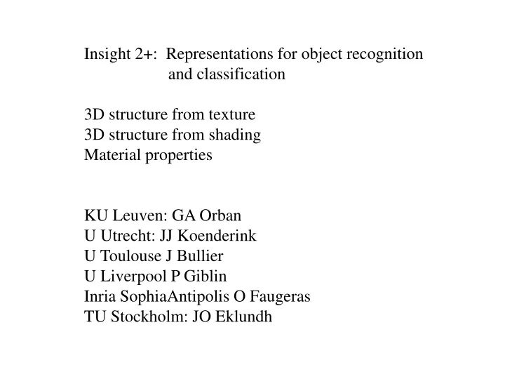 insight 2 representations for object recognition
