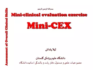 Mini-clinical evaluation exercise Mini-CEX