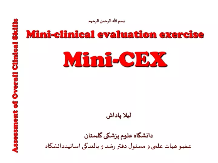 mini clinical evaluation exercise mini cex