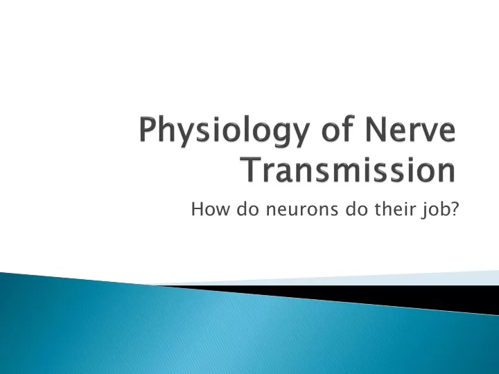 physiology of nerve transmission