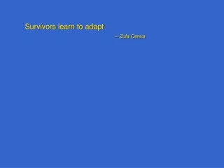 Survivors learn to adapt – Zufa Cenva