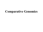 PPT - Comparative Genomics PowerPoint Presentation, Free Download - ID ...