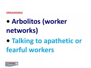 ORGANISING Arbolitos (worker networks) Talking to apathetic or fearful workers