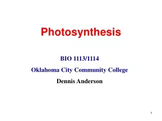 Photosynthesis