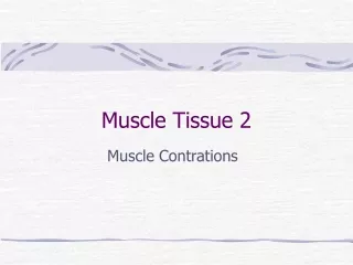 Muscle Tissue 2