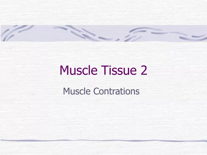 muscle tissue 2