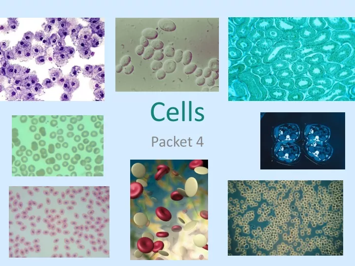 cells