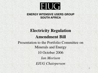 Electricity Regulation Amendment Bill