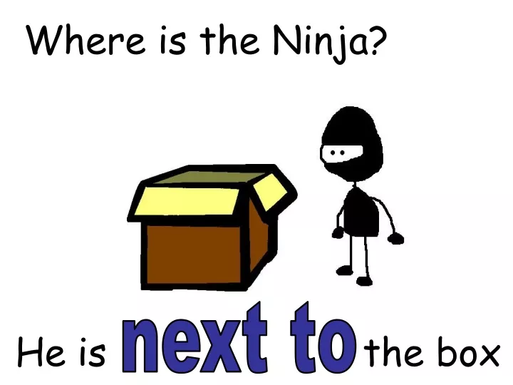 where is the ninja