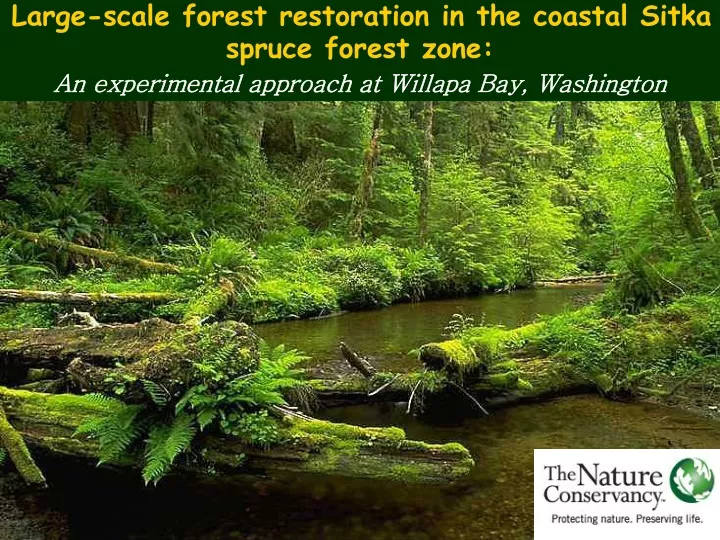 large scale forest restoration in the coastal
