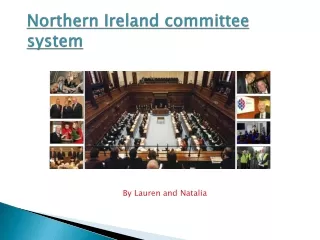 Northern Ireland committee system
