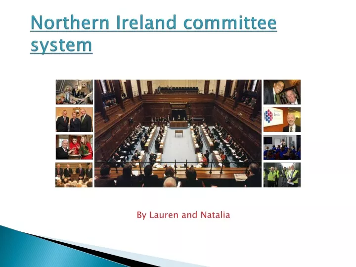 northern ireland committee system