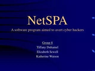 NetSPA A software program aimed to avert cyber hackers