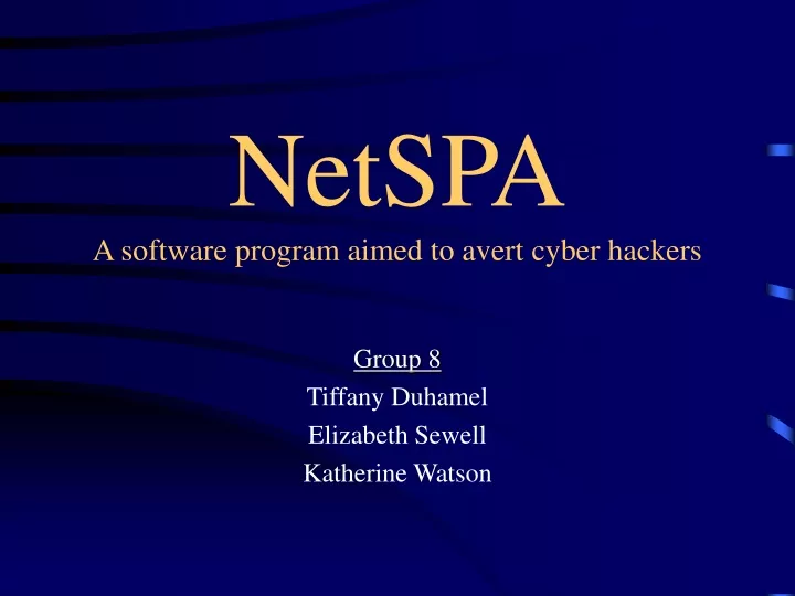 netspa a software program aimed to avert cyber hackers