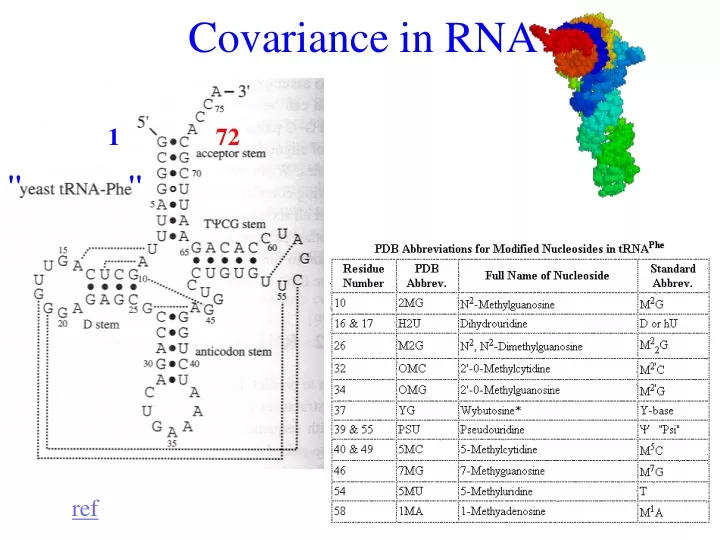 covariance in rna