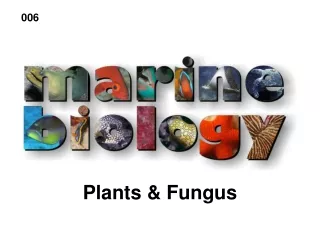 Plants &amp; Fungus