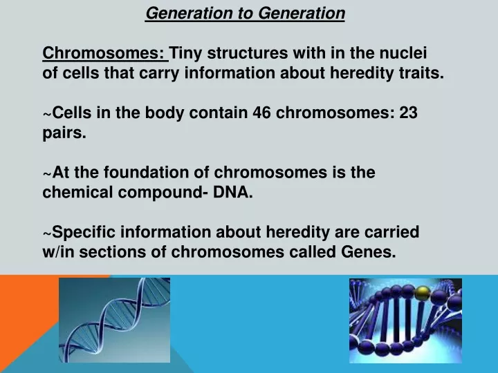 generation to generation chromosomes tiny