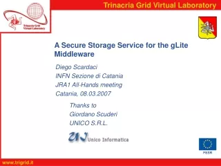 A Secure Storage Service for the gLite Middleware