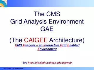 The CMS Grid Analysis Environment GAE (The  CAIGEE  Architecture)