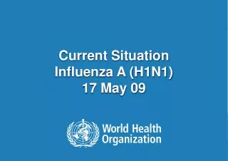 Current Situation  Influenza A (H1N1) 17 May 09