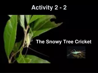 Activity 2 - 2
