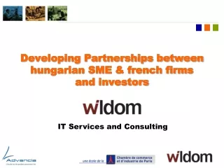 Developing Partnerships between hungarian SME &amp; french firms and investors