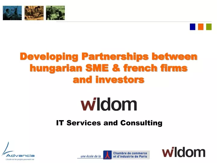 developing partnerships between hungarian sme french firms and investors