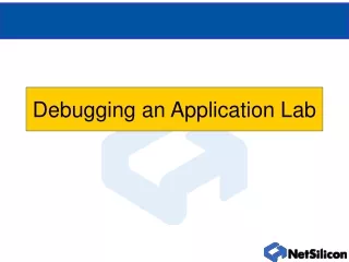 Debugging an Application Lab