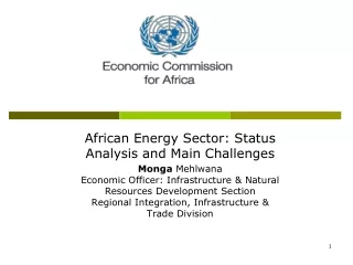 African Energy Sector: Status Analysis and Main Challenges