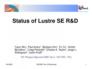 Status of Lustre SE R&amp;D