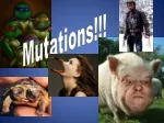 Genetic Mutations: Understanding the Basics and Types - slide 1