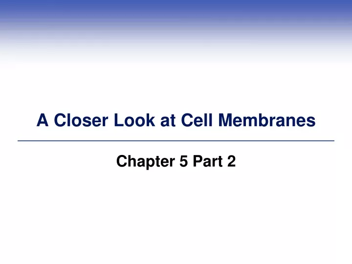 a closer look at cell membranes