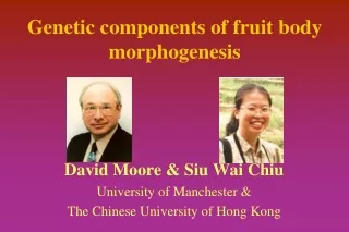 Genetic components of fruit body morphogenesis