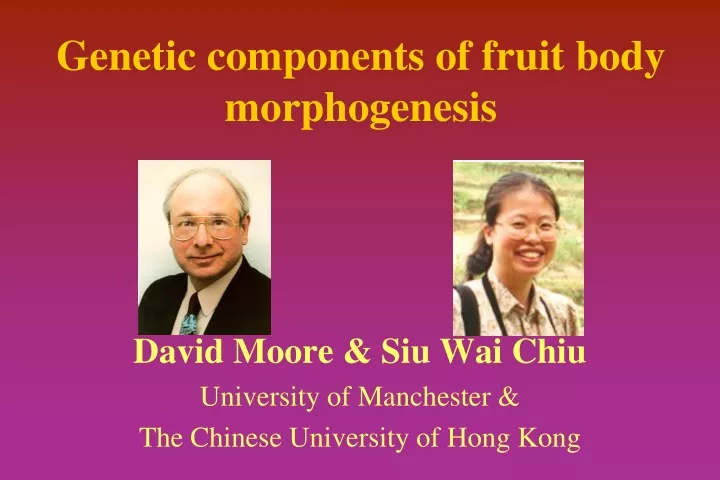 genetic components of fruit body morphogenesis
