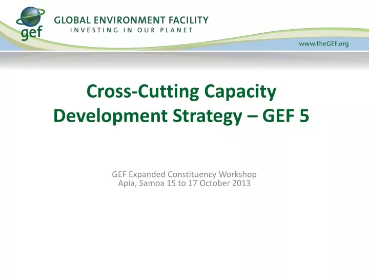 cross cutting capacity development strategy gef 5