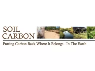 What Carbon looks  like in nature