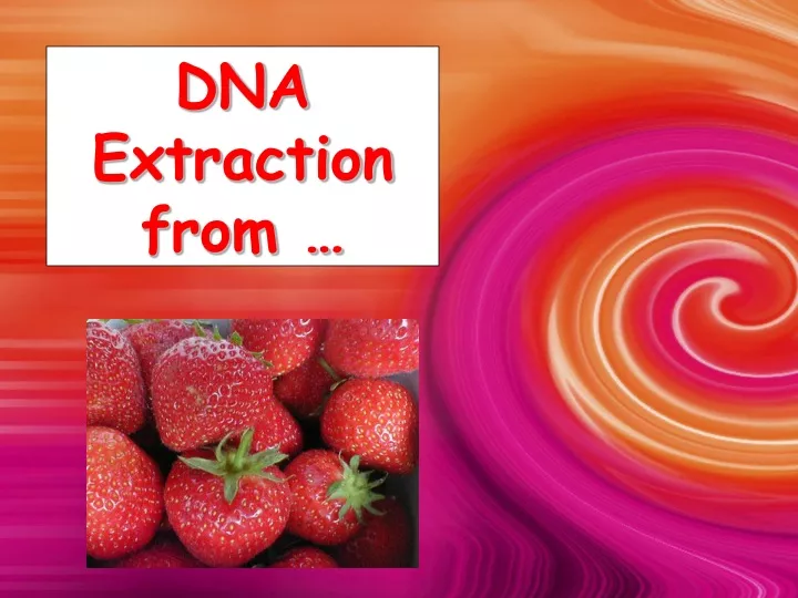 dna extraction from