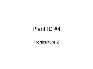 Plant ID #4
