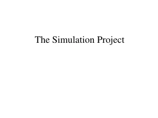 The Simulation Project
